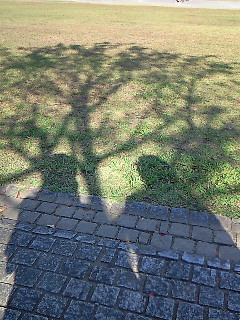 ���m�o������