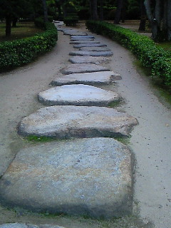 �����ނ�������Ă�H