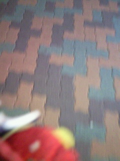 �T���^����