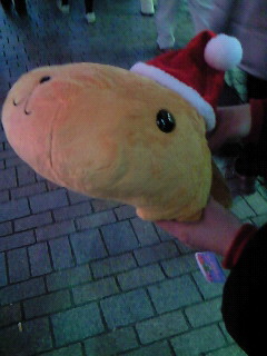 ���҂���[