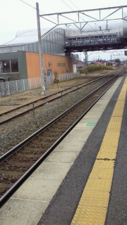 ����񂿂�������