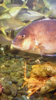 �����[��