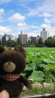 ���U�����a