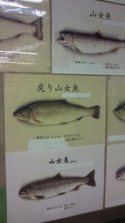 �W���Z���X�̌͊�