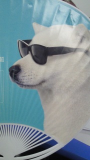 �O���T��