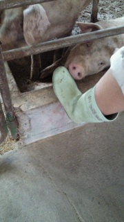 ���݂����􊚂݂�����