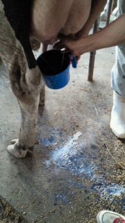 ���A���q�ꂵ�ڂ�