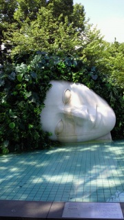 ������̊�