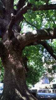 �񌻎���������߂�