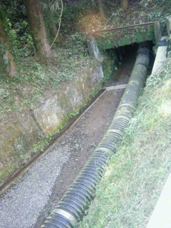 �g���l���̒�