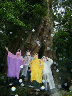 ���J�_����