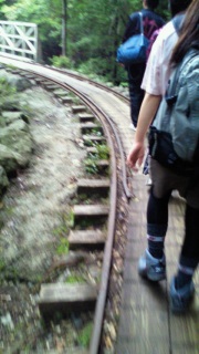 ���L���t�H�[�ǂ��܂ł�