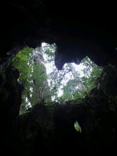 �E�B���\����