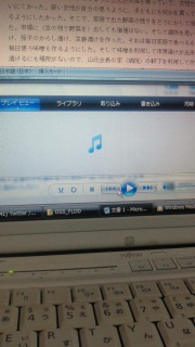 �n���[�}�C�P���H