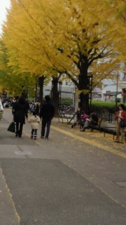 �C�`���E�����P