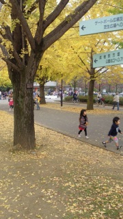 �C�`���E�����Q