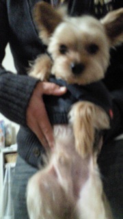 ���O�Ȃ񂾂����H