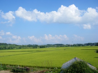 �������܂ӂ�����