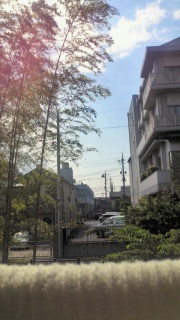 �����V�C