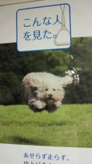 ����Ȑl�������B