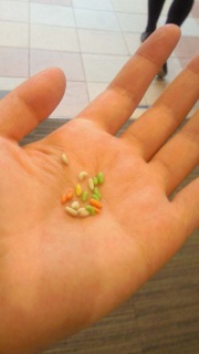 �ԂԂԂ�