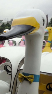 �A�q��������