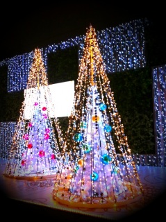 �F�����I��