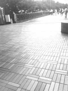 �F�X��������