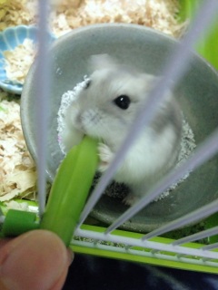 �n���n��