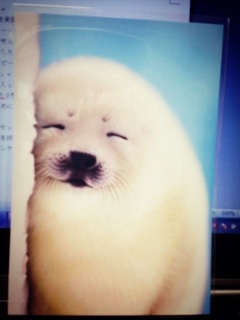 ���܂����