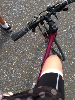 ���c���`�Ó�