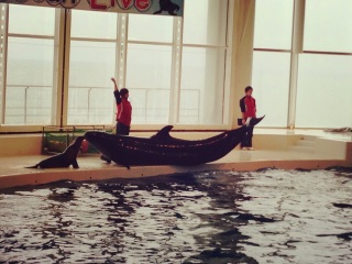 �R�R�����c