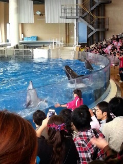 �C���J�A�V�J�V���[