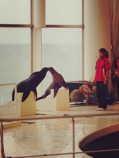 �R�R�����ƃi�b�c����