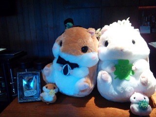 �E�G�f�B���O�n��