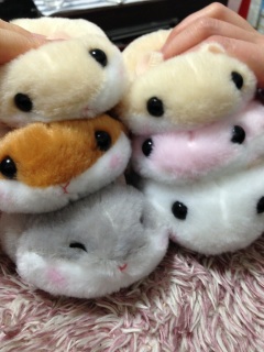 �n���n��