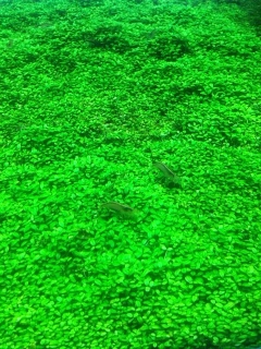 �΂�������