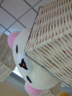 �ǂ����悤