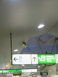 �˂݂����[