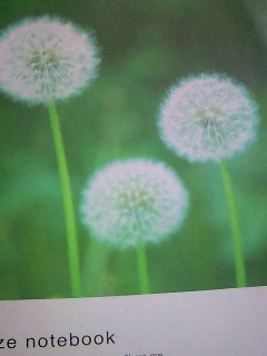 ������Ƃׂ�͂�