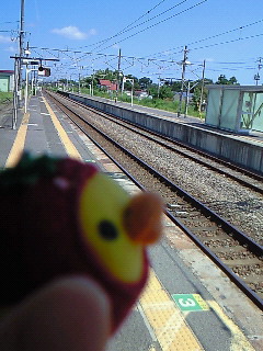 ���̂܂܂ǂ�������