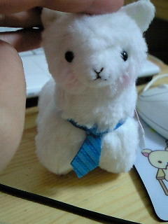 �A���p�J�b�\