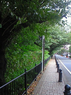 ���̎U����