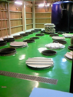 �����Ē�