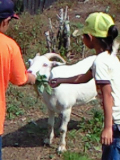 �߂�������[��